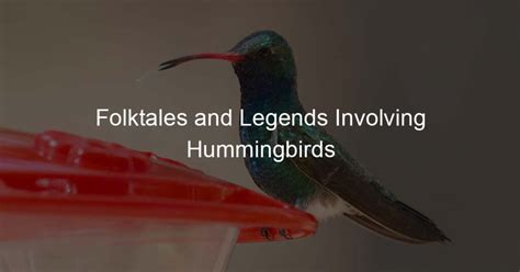  Legend of the Hummingbird:  A Brazilian Folktale Exploring Perseverance and Beauty in Nature